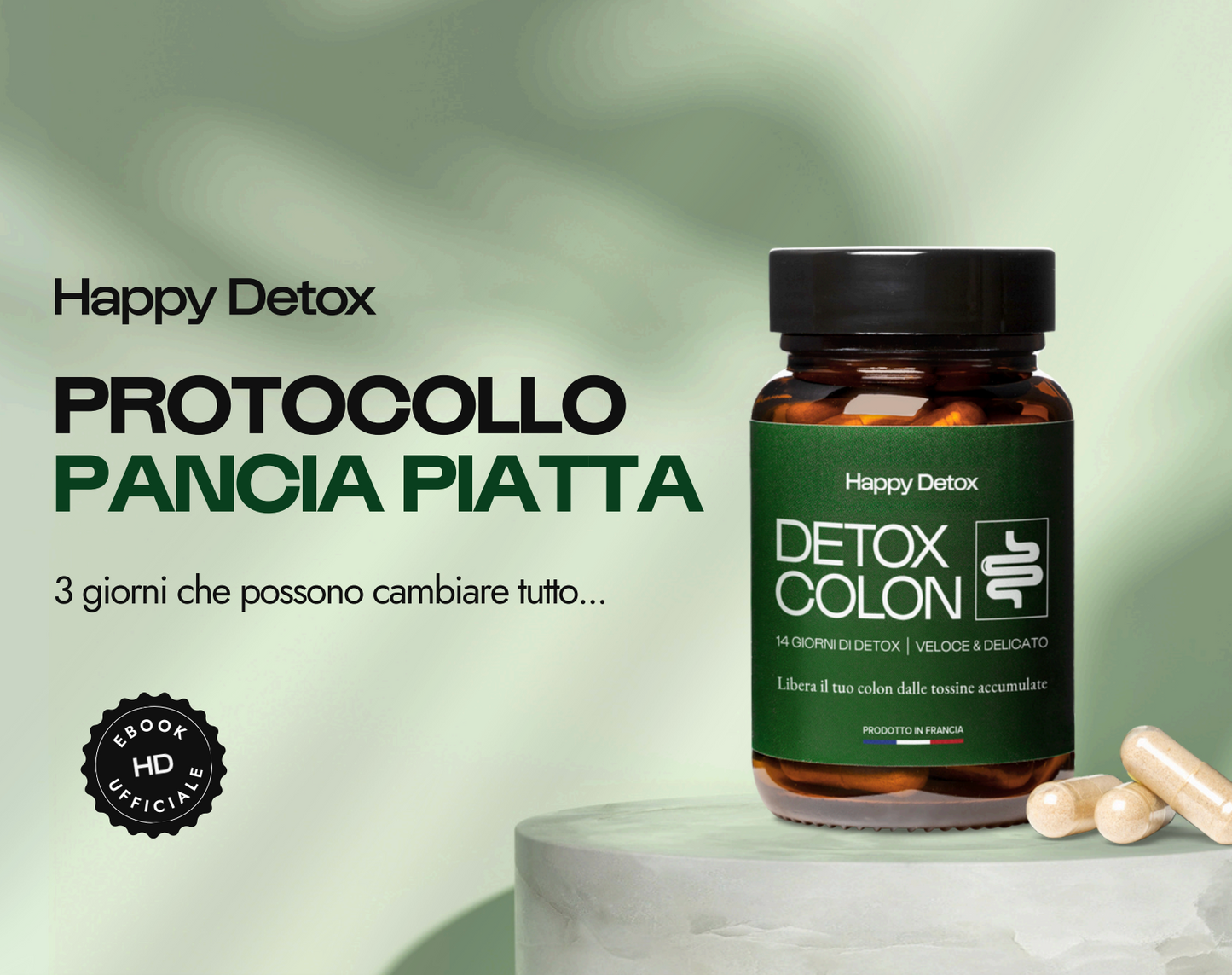 PROTOCOLLO PANCIA PIATTA (100% digitale)